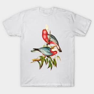 Pink and Grey Galah Australian T-Shirt